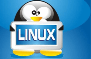 Linux服务器dd系统-i空间