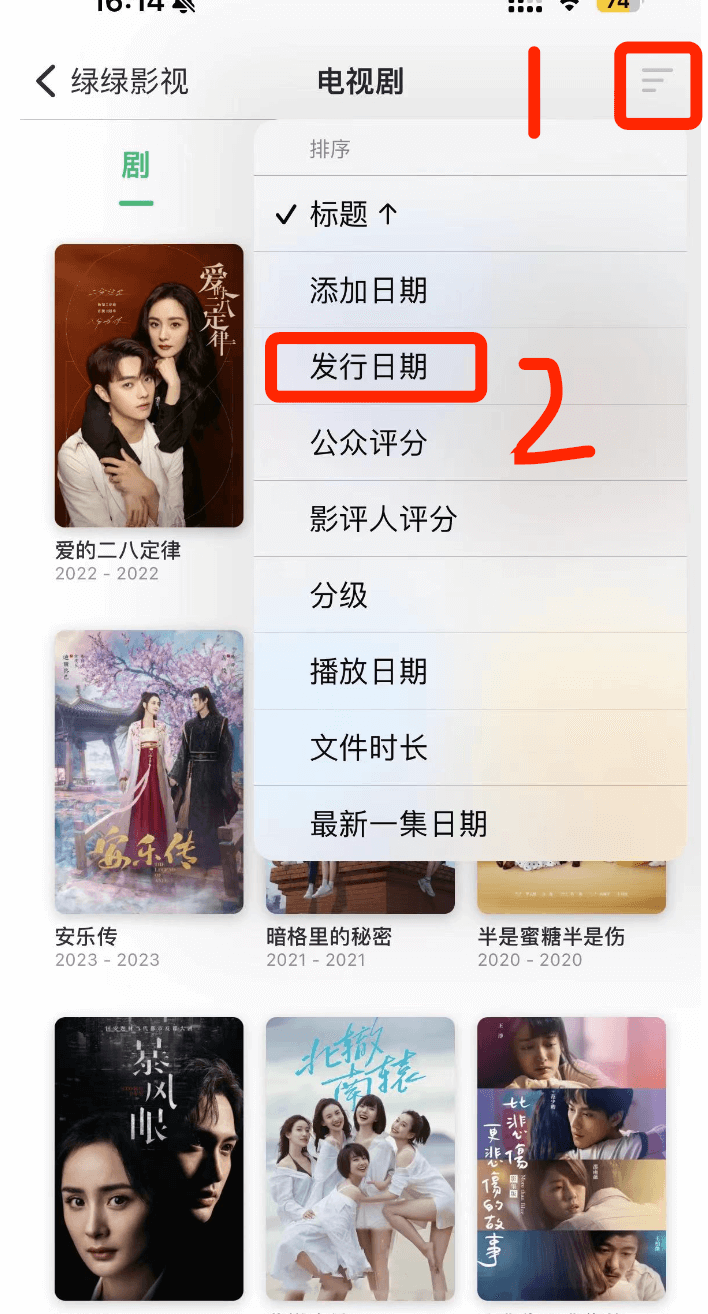 图片[7]-Emby移动端的使用和配置方法-苹果端-Vidhub-i空间